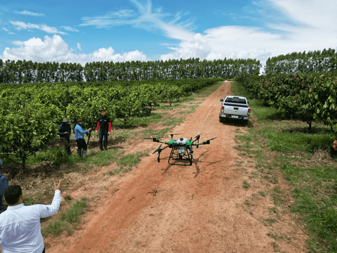 Operação de drone em plantação